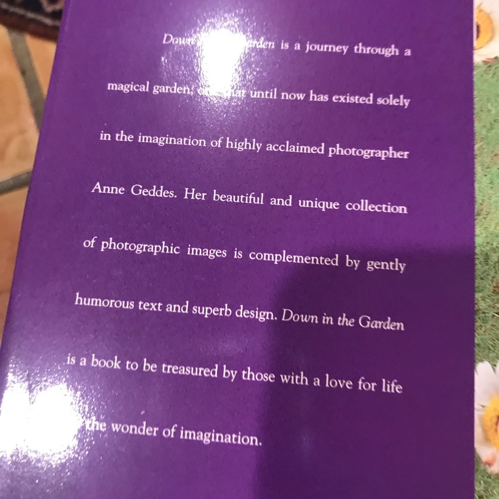 ANNE GEDDES DOWN IN THE GARDEN NWOT - Picture 7 of 16